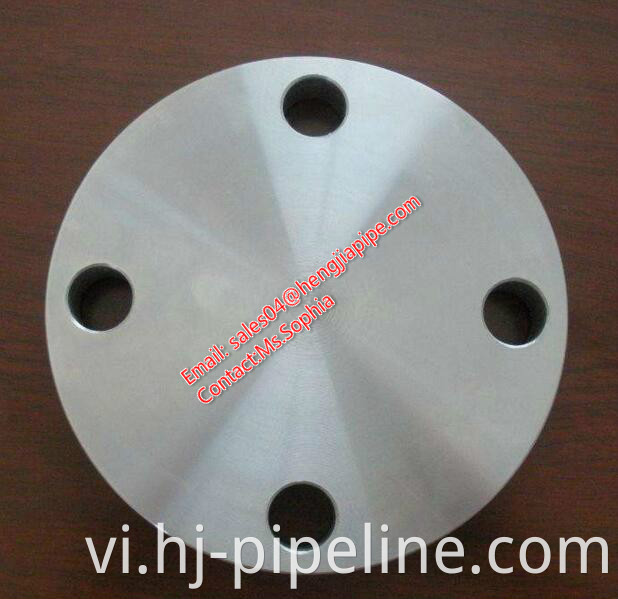 forged raised face blind flange